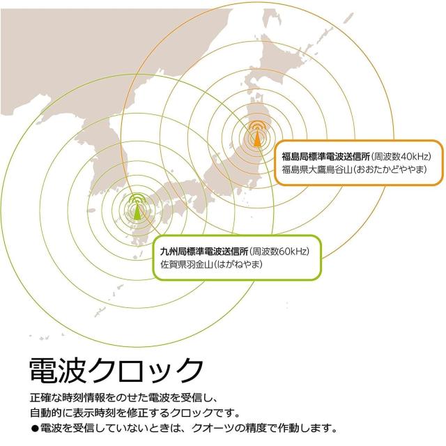 ZCR[剹ʓdqA[ dgڊov RAIDEN Cf NR532W  CeA/Ct 