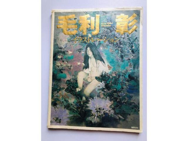 ї CXg[V 1991N ԏX W  Akira Mohri Illustration Tokuma   {/G 