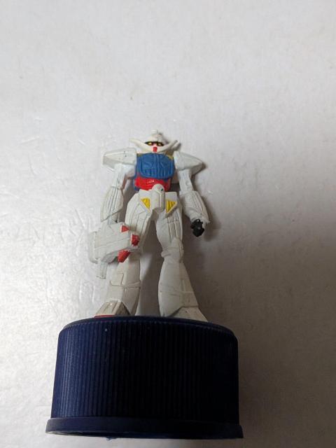 �K���_���y�v�V�{�g���L���b�v�t�B�M���A �� �z�r�[�� 