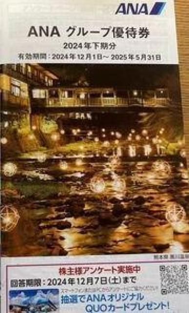 ANA�@�O���[�v�D�Ҍ��@�L������:2024�N12��1���`2025�N5��31��  �� �`�P�b�g/������ 
