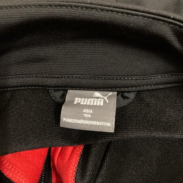 即決 PUMA プーマ POWER ポリスーツ ジャージ ジャケット 160cm < ブランド 即決 PUMA プーマ POWER ポリスーツ ジャージ ジャケット 160cm < ブランドの