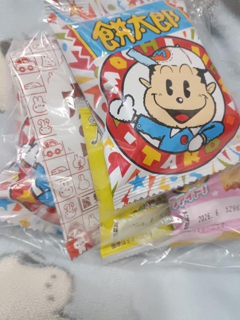 �ʉَq�Z�b�g�P �� �O����/�h�����N�� 