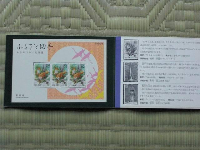 TN(1993)ӂ邳Ɛ؎菬^V[gvPZbg  zr[ 