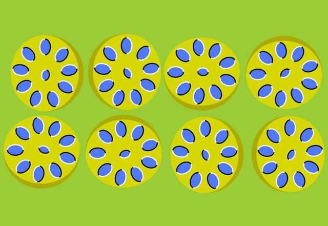 ☆Gメン '75 女Gメン編4 ☆中島はるみ 范文雀 江波杏子 < CD/DVD/ビデオ ☆Gメン '75 女Gメン編4 ☆中島はるみ 范文雀 江波杏子 < CD/DVD/ビデオの