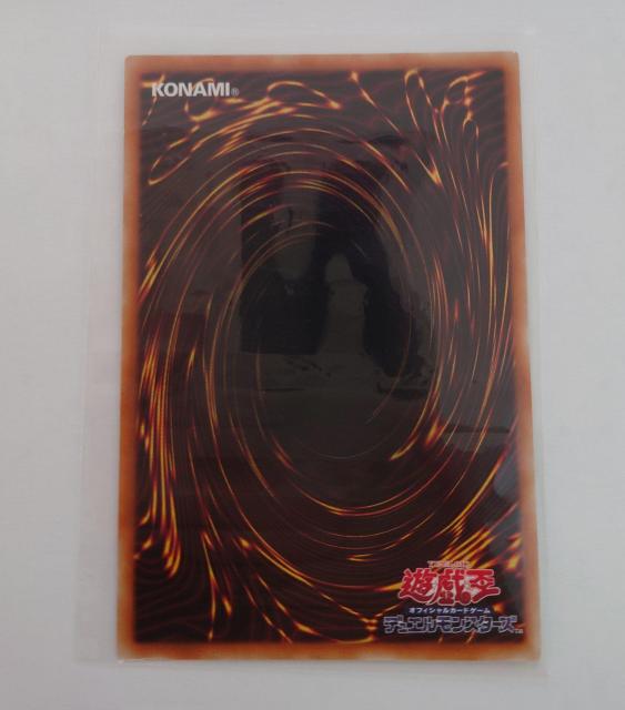 VYfGX^[Y ItBVJ[hQ[ gĐ 㩃J[h 60312997 740