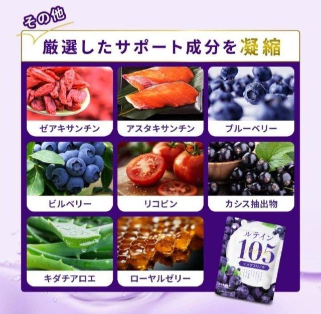 eC Tv 105mg ЋJ 30 60 Tvg  eC105 [ALT` OXmL  wX/r[eB[ 