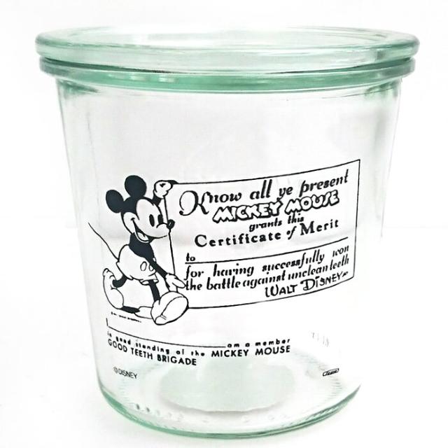 yWECKzsNewt~bL[}EXKX*ۑe(LjX^[)<500ml>   CeA/Ct 