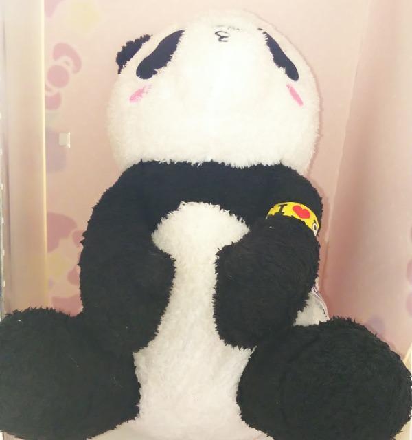 pp_BIGʂ݁`ver.`p_Bڕ   