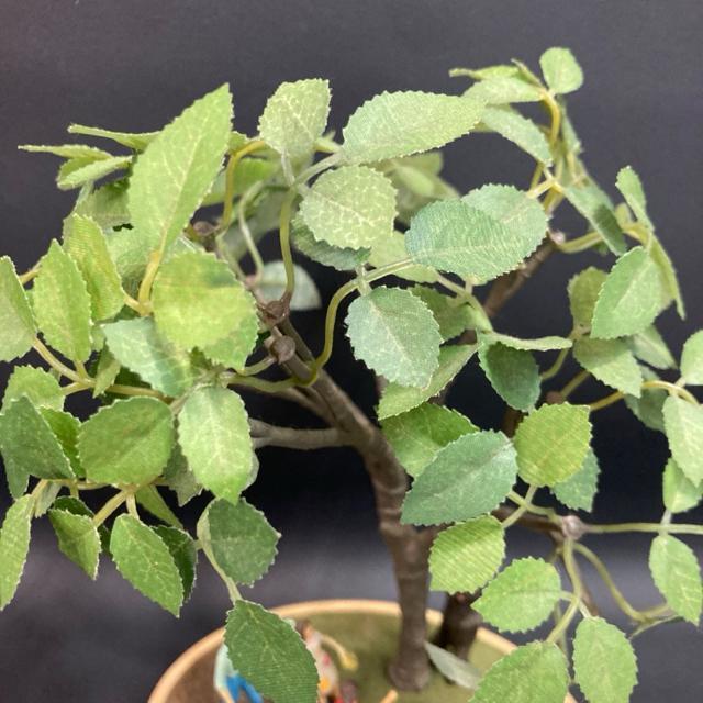 ���A�@���i�@�U�E�}���~�� ���� THE MOOVING MAM BONSAI �� �z�r�[�� 