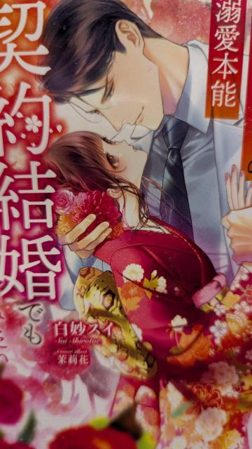 vw͌_񌋍łɏ̈c݂XC}[}[h   {/G 