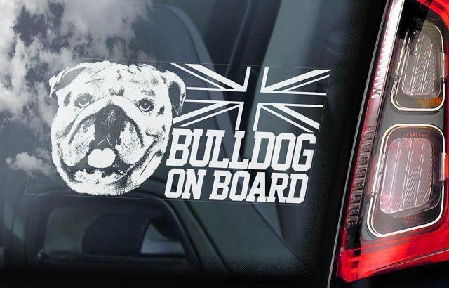 uhbO B O J[XebJ[ 205~100mm O\ J[ XebJ[ EChE V[ DOG   /oCN