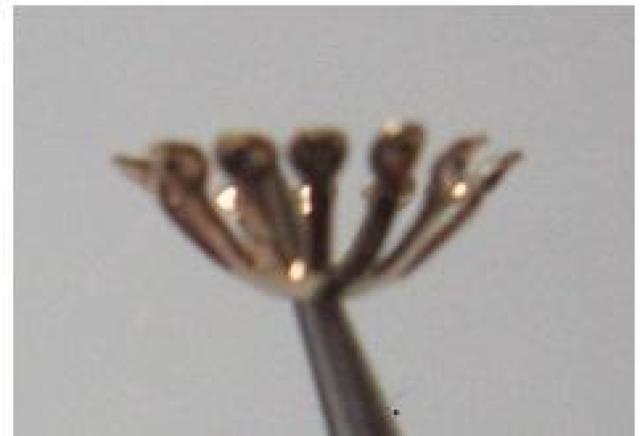 ����A14�{�c���E�S�[���h��6�� �� �y�b�g/��|/���|�� 