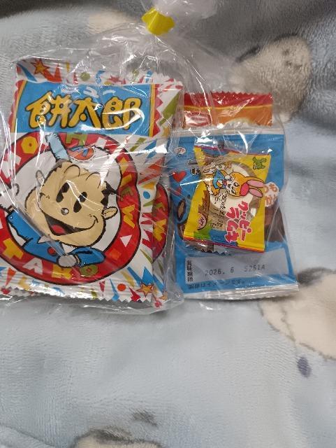 �ʉَq�Z�b�g�U  �� �O����/�h�����N�� 