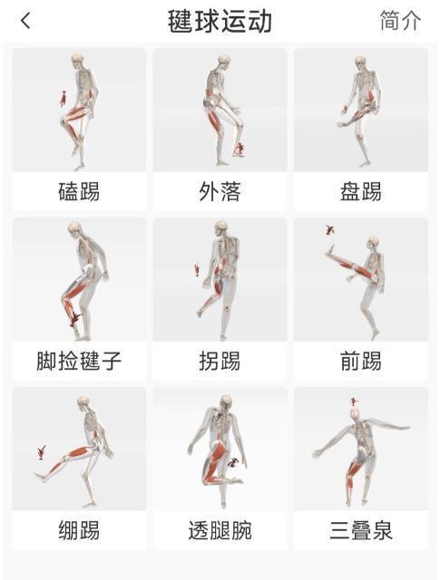 �����V�i���g�p�W�F���Y�����嗤��p�A�����J�X�|�[�c���E���l�C�L�b�N�V���g���^����Q�[���e�B�[�W�F���`���I �� �w���X/�r���[�e�B�[�� 