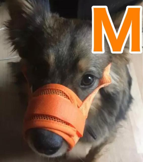 口輪 無駄吠えに オレンジM < ペット/手芸/園芸  口輪 無駄吠えに オレンジM  < ペット/手芸/園芸の