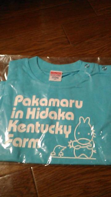 送料込・キッズ〜未使用未開封Tシャツ〜4枚セット〜部屋着に < キッズ/ベビー  送料込・キッズ〜未使用未開封Tシャツ〜4枚セット〜部屋着に  < キッズ/ベビーの