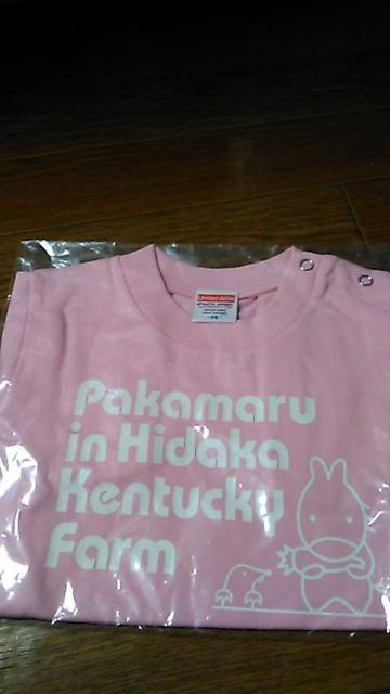 送料込・キッズ〜未使用未開封Tシャツ〜4枚セット〜部屋着に < キッズ/ベビー  送料込・キッズ〜未使用未開封Tシャツ〜4枚セット〜部屋着に < キッズ/ベビーの