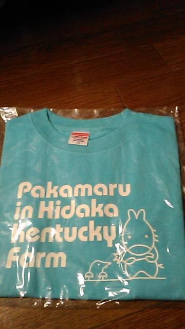 送料込・キッズ〜未使用未開封Tシャツ〜4枚セット〜部屋着に < キッズ/ベビー  送料込・キッズ〜未使用未開封Tシャツ〜4枚セット〜部屋着に < キッズ/ベビーの