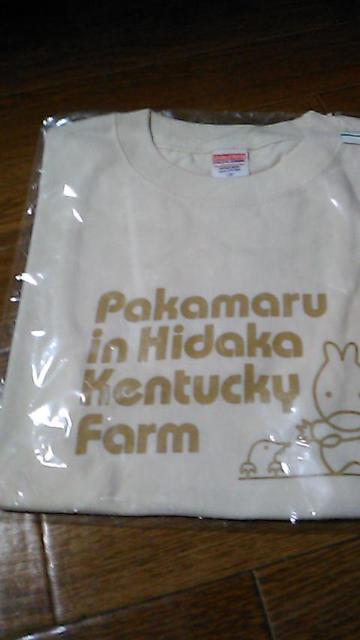 送料込・キッズ〜未使用未開封Tシャツ〜4枚セット〜部屋着に < キッズ/ベビー  送料込・キッズ〜未使用未開封Tシャツ〜4枚セット〜部屋着に < キッズ/ベビーの