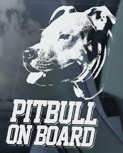 ◆ピットブル/ピット・ブル・テリア @ 外張り カーステッカー 165×100mm 外貼り ステッカー 車 ウインドウ シール 犬 < 自動車/バイク ◆ピットブル/ピット・ブル・テリア @ 外張り カーステッカー 165×100mm 外貼り ステッカー 車 ウインドウ シール 犬 < 自動車/バイク