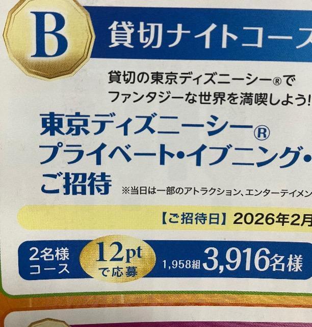 �f�B�Y�j�[�V�[�ݐ؃i�C�g�y�A������/1958�g3916���l3��