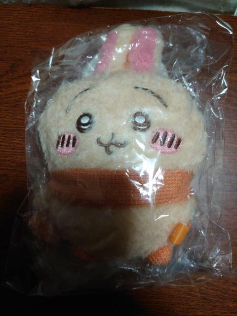 ��������  �� �A�j��/�R�~�b�N/�L�����N�^�[�� 