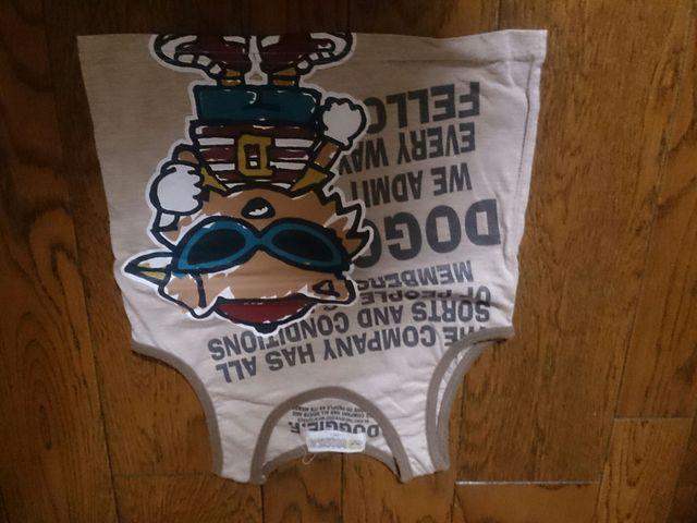 100 DOGGIE K m[X[u   LbY/xr[ 