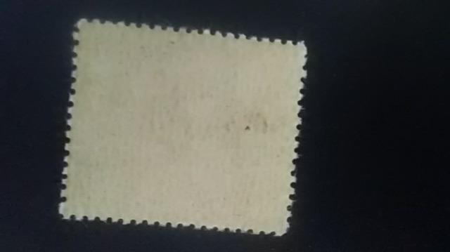 ȂÂ5.00~n؎薢gpi