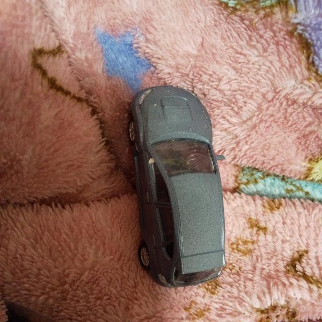 �~�j�J�[ �C���e�O�� �O���[  �� �z�r�[�� 