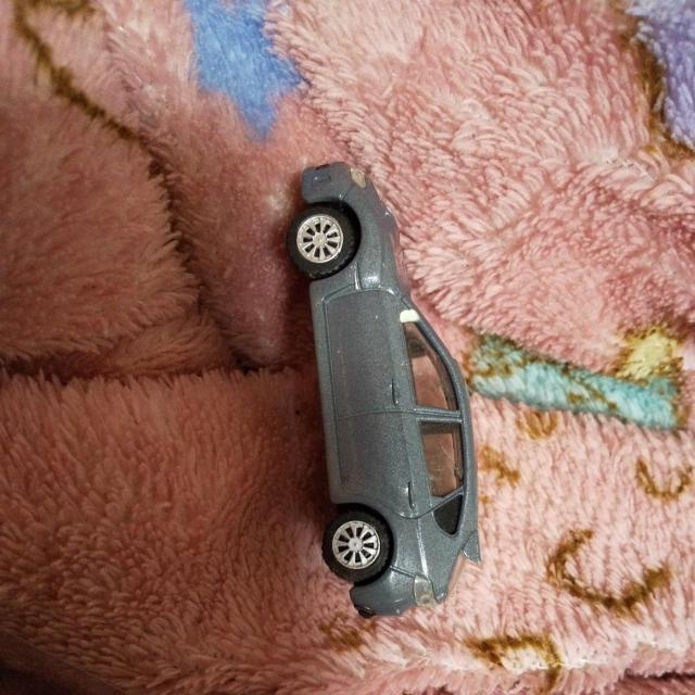 �~�j�J�[ �C���e�O�� �O���[ �� �z�r�[�� 