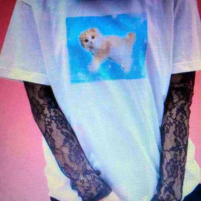 WEGO・ゆめかわネコフォトプリントTシャツ。サックス < ブランド  WEGO・ゆめかわネコフォトプリントTシャツ。サックス  < ブランドの