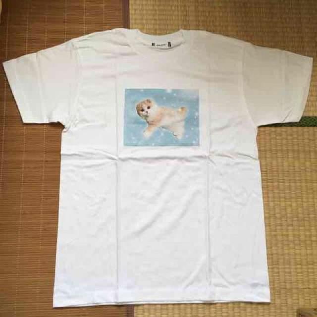 WEGO・ゆめかわネコフォトプリントTシャツ。サックス < ブランド  WEGO・ゆめかわネコフォトプリントTシャツ。サックス < ブランドの