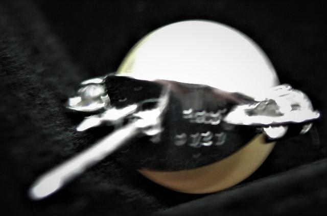 Pt900v`i^C^bN p[12mm^ _C0.20ct ^Cs  jANZT[/v 