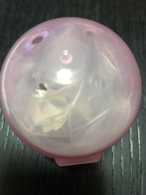 原色図鑑シリーズ 原色擬態昆虫 ハナカマキリ 未開封 < ホビー 原色図鑑シリーズ 原色擬態昆虫 ハナカマキリ 未開封 < ホビーの