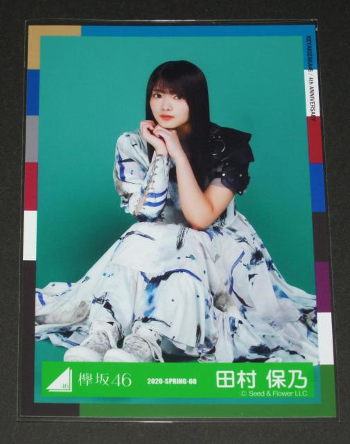 �O��46(�N��46) ���ʐ^�P���@�c���۔T�@�}�[�u���n�[�l�X�ߑ�  �� �^�����g�O�b�Y�� 