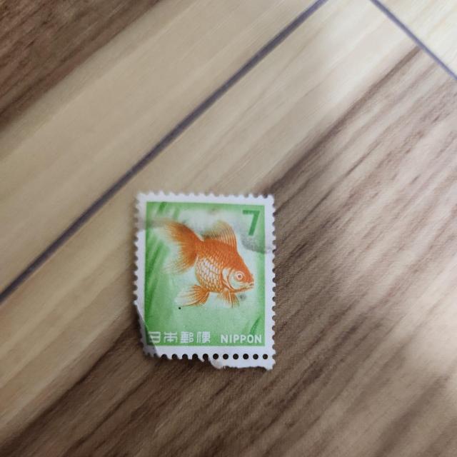 RNV@z@@|Cg@؎@V~@؎@@ 