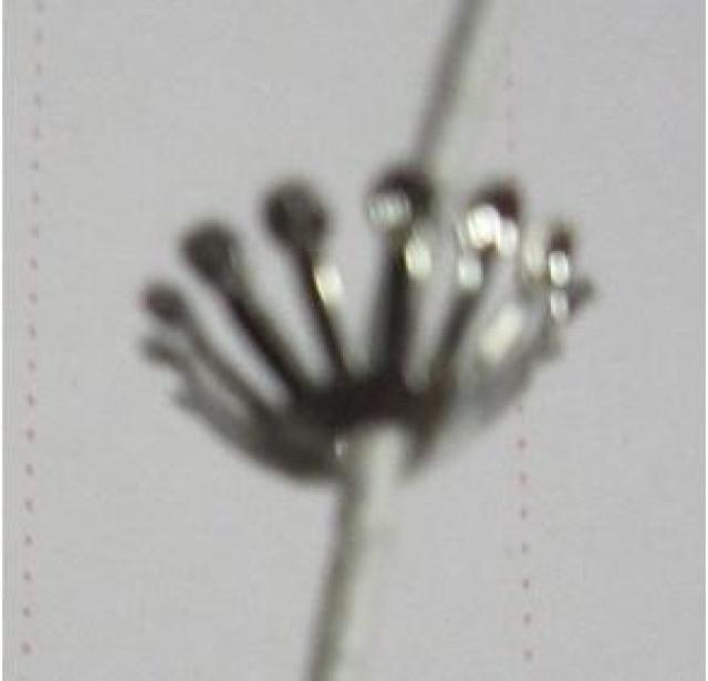 ����A14�{�c���E�V���o�[��6�� �� �y�b�g/��|/���|�� 