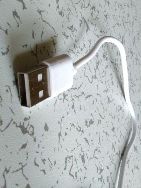 micro[qΉUSB[dP[u