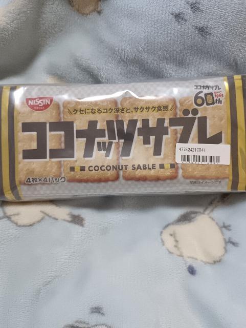 �R�R�i�b�c�T�u��  �� �O����/�h�����N�� 