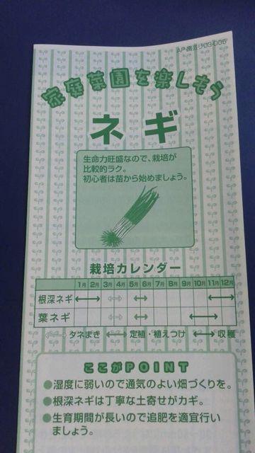 家庭菜園、ねぎ栽培方法冊子 ネギ < ペット/手芸/園芸  家庭菜園、ねぎ栽培方法冊子 ネギ  < ペット/手芸/園芸の