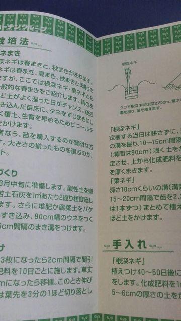 家庭菜園、ねぎ栽培方法冊子 ネギ < ペット/手芸/園芸  家庭菜園、ねぎ栽培方法冊子 ネギ < ペット/手芸/園芸の