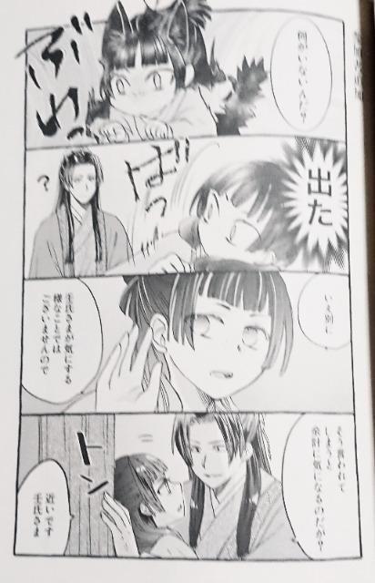 薬屋のひとりごと同人誌《壬氏×猫猫》2冊セット < アニメ/コミック/キャラクター  薬屋のひとりごと同人誌《壬氏×猫猫》2冊セット < アニメ/コミック/キャラクターの