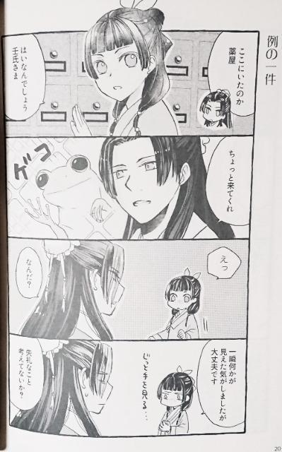 薬屋のひとりごと同人誌《壬氏×猫猫》2冊セット < アニメ/コミック/キャラクター  薬屋のひとりごと同人誌《壬氏×猫猫》2冊セット < アニメ/コミック/キャラクターの