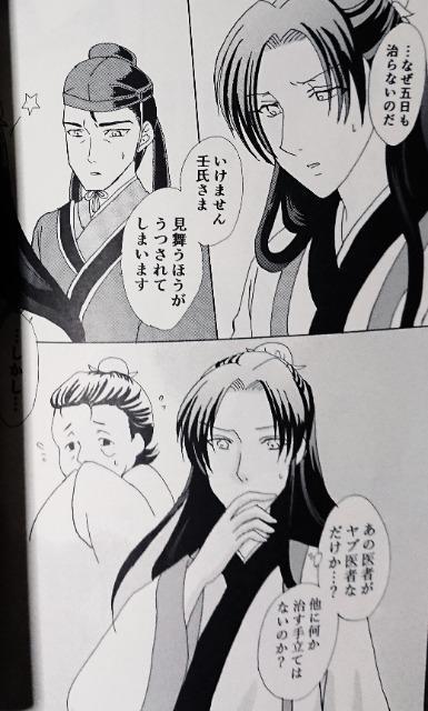 薬屋のひとりごと同人誌《壬氏×猫猫》2冊セット < アニメ/コミック/キャラクター  薬屋のひとりごと同人誌《壬氏×猫猫》2冊セット < アニメ/コミック/キャラクターの