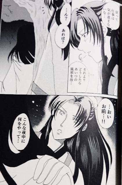 薬屋のひとりごと同人誌《壬氏×猫猫》2冊セット < アニメ/コミック/キャラクター  薬屋のひとりごと同人誌《壬氏×猫猫》2冊セット < アニメ/コミック/キャラクターの