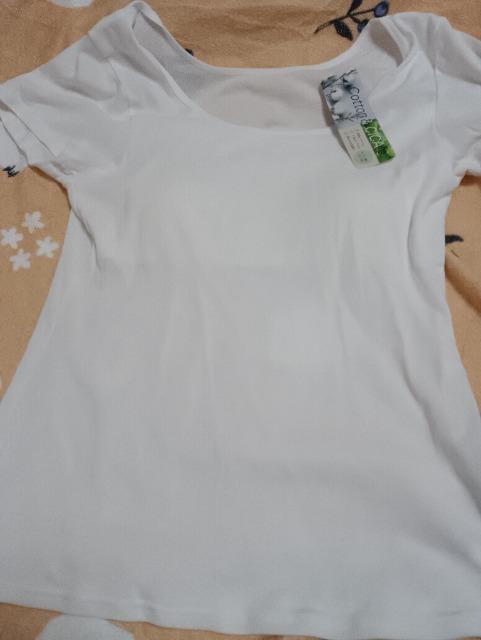 ��100�̃C���i�[�V�iLL 