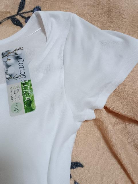 ��100�̃C���i�[�V�iLL