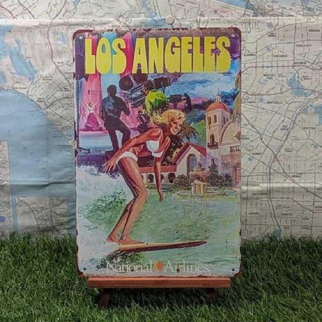 ViyuLŔzSurfing^T[tB@Los Angeles   zr[ 