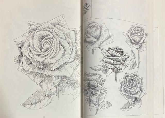 �Ï� �C���X�g �w�Ԃ̃t�H�����x���a53�N ���s�J�C�K�C �Ԃ��Ȃ���`���ł���{�ł��B�艿28000�~ ���a���g�� �� �{/�G���� 