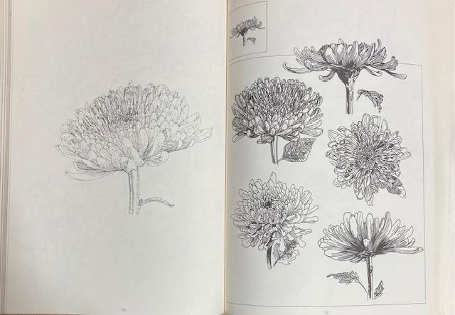 �Ï� �C���X�g �w�Ԃ̃t�H�����x���a53�N ���s�J�C�K�C �Ԃ��Ȃ���`���ł���{�ł��B�艿28000�~ ���a���g�� �� �{/�G���� 